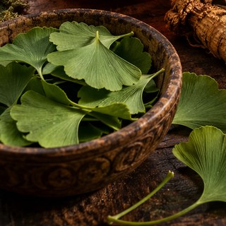 Ginkgo biloba leaves