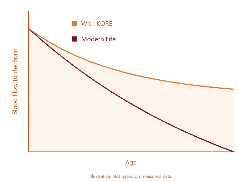 Illustrative chart: blood flow to the brain over time, with KORE versus modern life